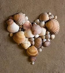 seashell heart