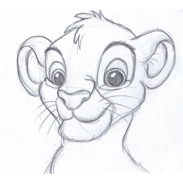 Simba drawing