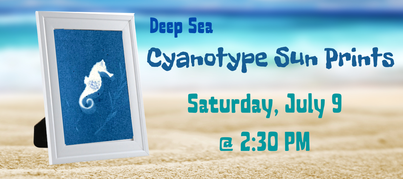 cyanotype sun print