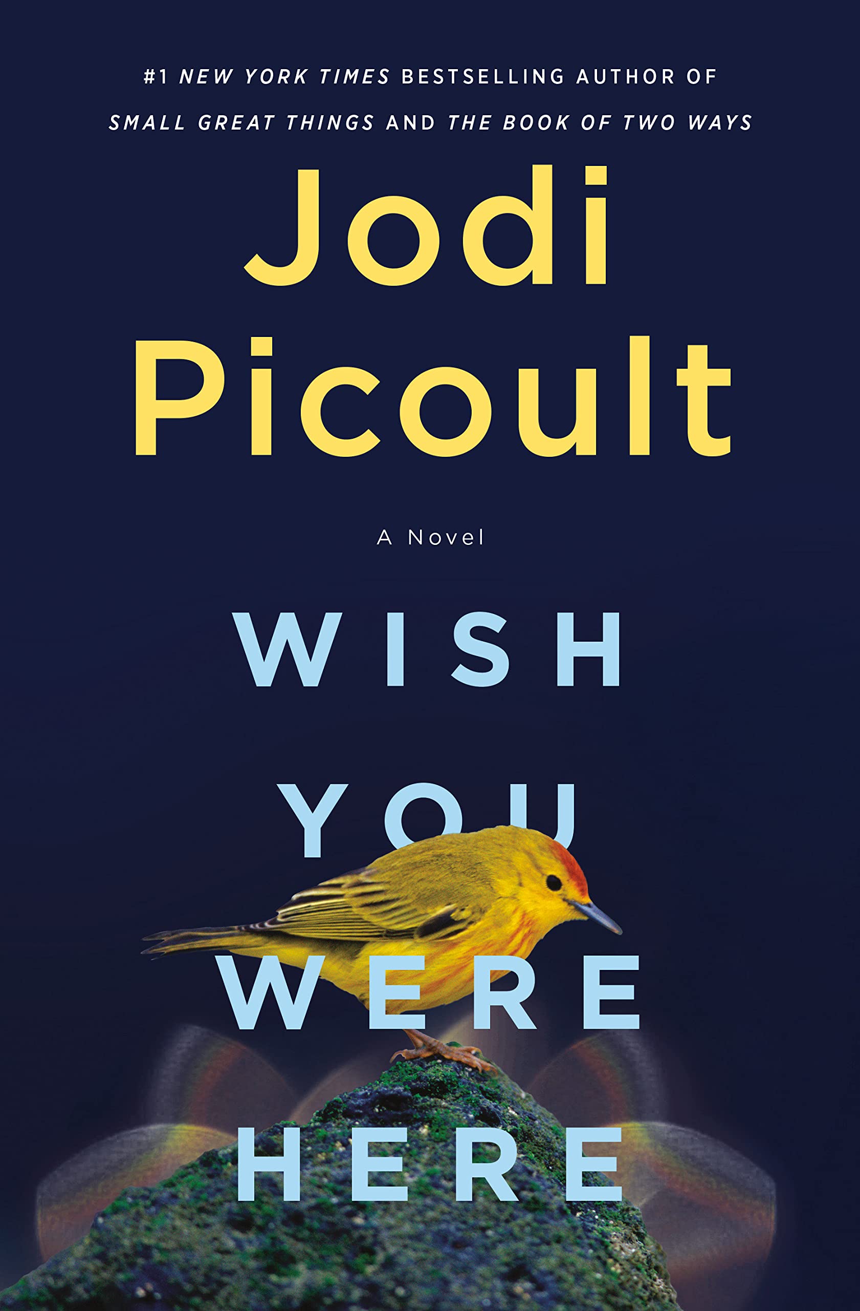 Hybrid Talk About Books with Fran Cohen Wish You Were Here by Jodi