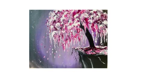 sakura splendor 