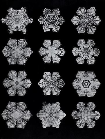 snowflakes