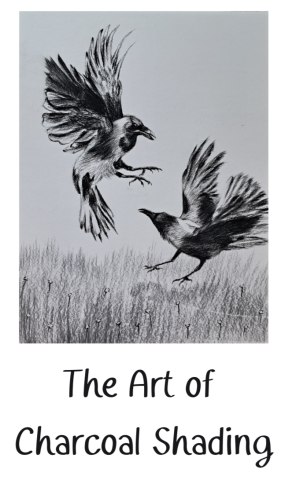 The Art of Charcoal Shading