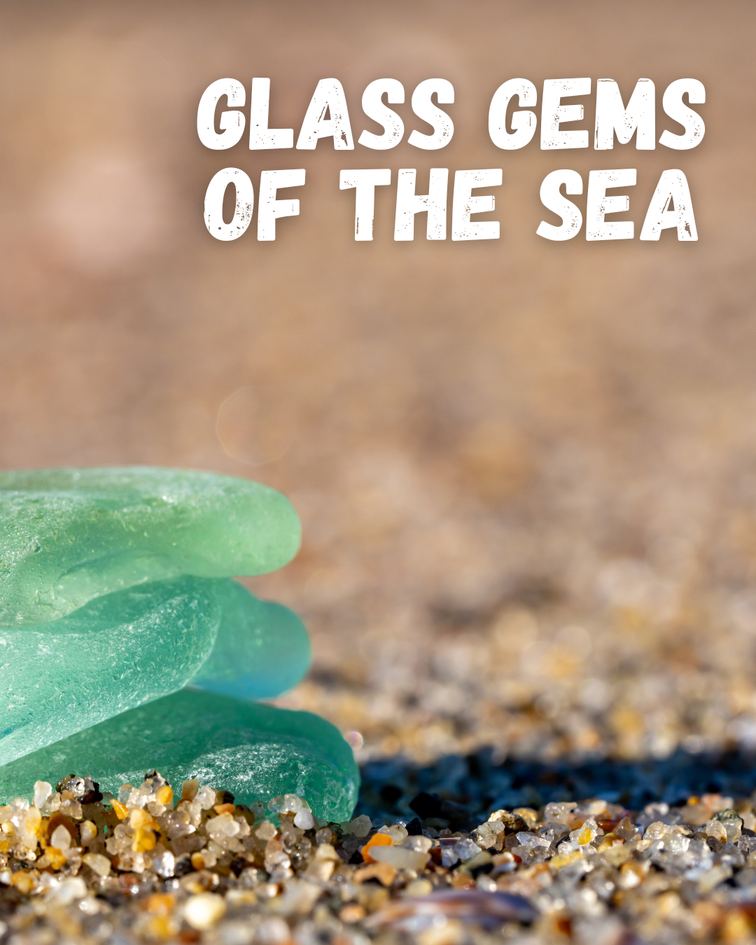 Glass Gems of the Sea