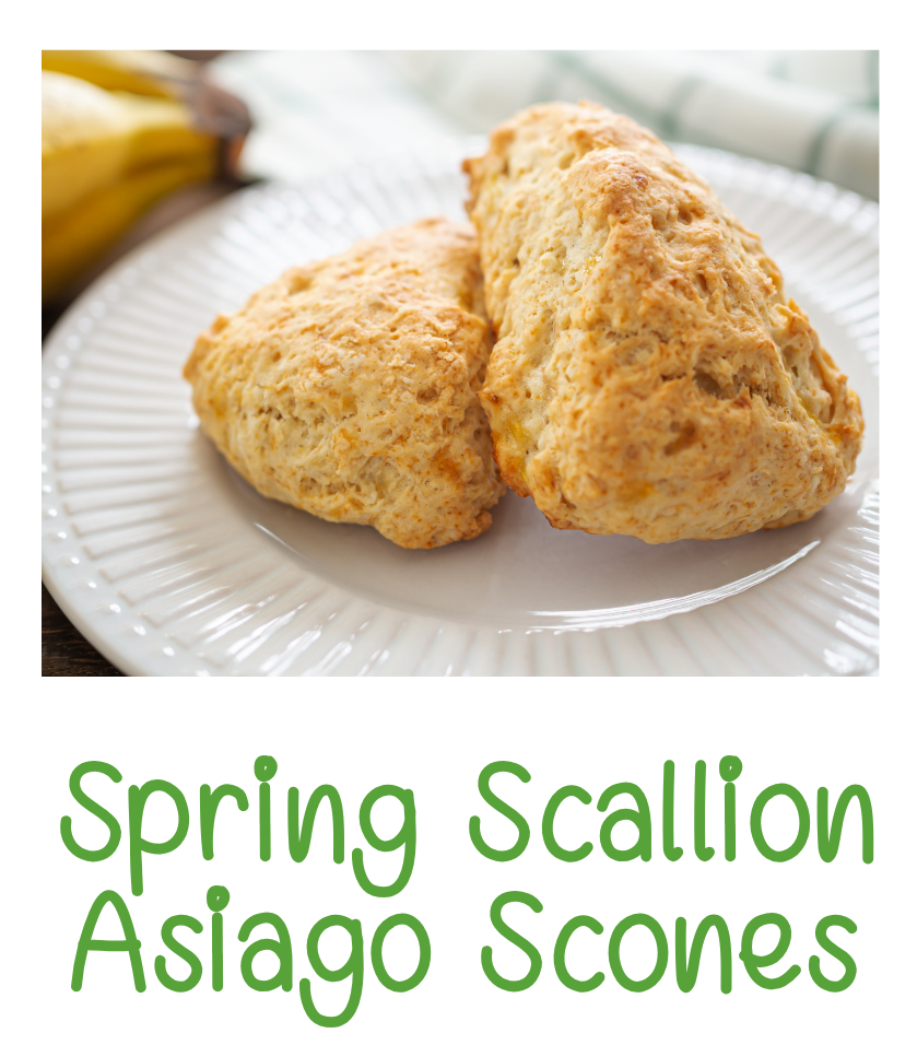 Spring Scallion Asiago Scones